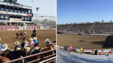 sinister-scam-rocks-popular-rodeo:-‘you-gotta-be-sharp’