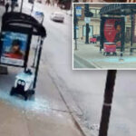 rogue-delivery-robots-are-plowing-into-chicago-bus-shelters,-‘bumping’-into-pedestrians