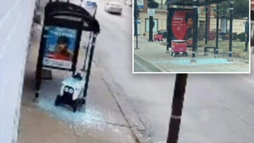 rogue-delivery-robots-are-plowing-into-chicago-bus-shelters,-‘bumping’-into-pedestrians