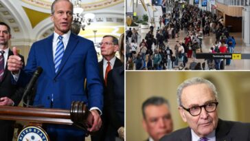 dems-accused-of-derailing-deal-to-reopen-dhs-with-new-counteroffer,-thune-tells-them-to-‘get-real’