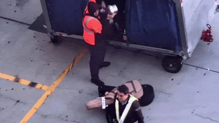 baggage-handler-slammed-after-viral-video-shows-guitars-violently-tossed-on-tarmac
