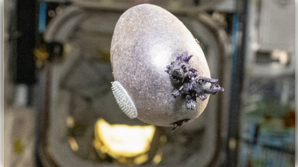 nasa-astronaut-responds-to-online-panic-over-“tentacled”-object-on-iss