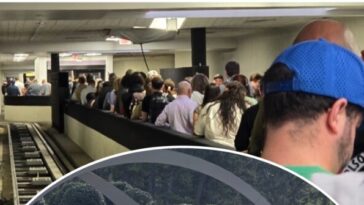 passengers-feel-positive-impact-of-ice-officers-helping-tsa-at-major-texas-airport