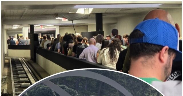 passengers-feel-positive-impact-of-ice-officers-helping-tsa-at-major-texas-airport