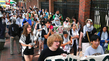 dept.-of-education-opens-two-more-investigations-into-harvard-university