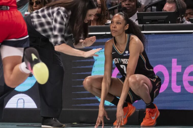 wnba-expansion-draft-order-to-be-determined-friday—here’s-how-it-works