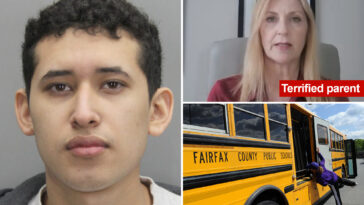 ‘schoolboy’-who-was-exposed-as-adult-illegal-migrant-after-groping-nine-11th-grade-classmates-facing-new-charges