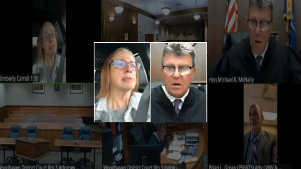 michigan-judge-blasts-woman-for-driving-during-zoom-court-hearing:-‘do-you-think-i’m-that-stupid?’