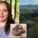 woman-killed-by-rattlesnake-on-socal-trail-identified-as-encounters-spike