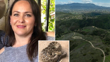woman-killed-by-rattlesnake-on-socal-trail-identified-as-encounters-spike