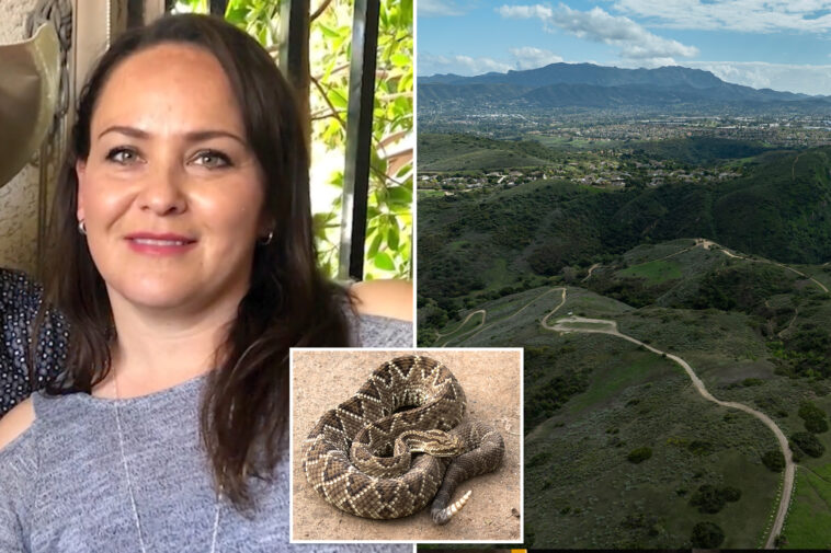 woman-killed-by-rattlesnake-on-socal-trail-identified-as-encounters-spike