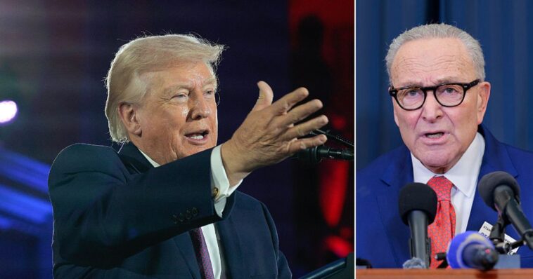 trump-says-he-knows-exactly-what-‘desperate’-schumer’s-next-move-will-be-in-dhs-shutdown-fight