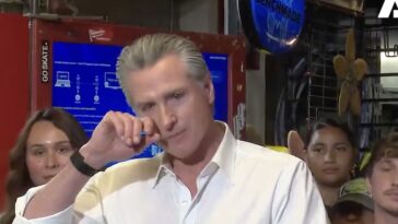 gavin-newsom-breaks-down-while-discussing-california-jobs-program:-‘this-is-embarrassing’