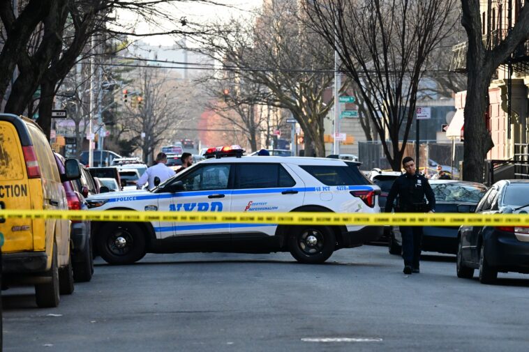 pair-of-teenage-boys-shot-in-face,-hand-just-feet-from-nyc-day-care