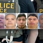 dhs-arrests-5-illegal-immigrants-convicted-of-violent-crimes-including-manslaughter,-child-assault