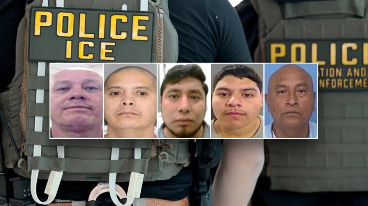 dhs-arrests-5-illegal-immigrants-convicted-of-violent-crimes-including-manslaughter,-child-assault