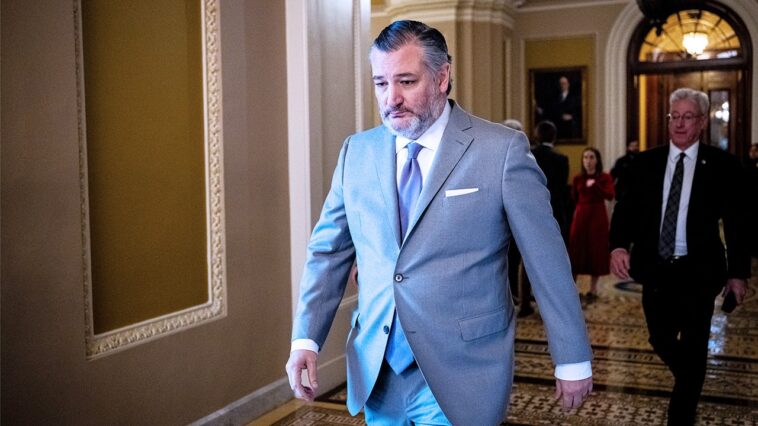 ted-cruz-unleashes-on-dems-for-risking-american-lives-with-dhs-shutdown:-‘radical-open-border-base’