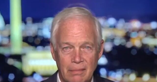 gop-sen.-johnson:-we-need-reconciliation-to-fund-ice,-cbp-for-long-period