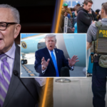 airport-chaos-meets-ice-—-americans-are-loving-the-results-(video)