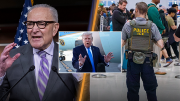 airport-chaos-meets-ice-—-americans-are-loving-the-results-(video)