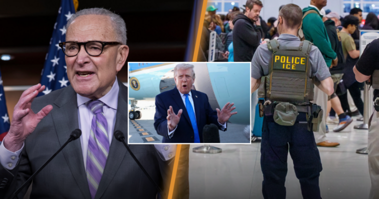 airport-chaos-meets-ice-—-americans-are-loving-the-results-(video)