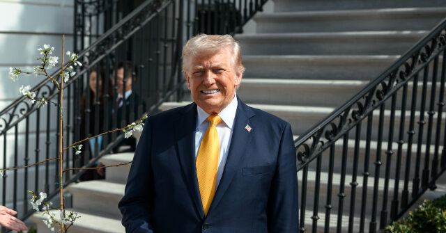 major-hollywood-union,-sag-aftra,-‘strongly-supports’-trump-admin’s-ai-framework-for-human-creatives