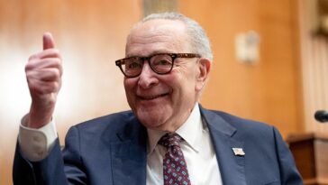 you’re-in-an-endless-tsa-line-because-of-democrats