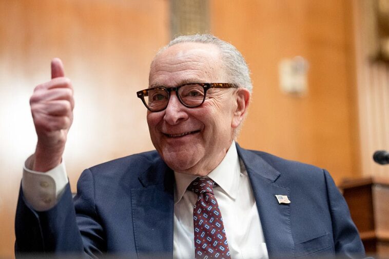 you’re-in-an-endless-tsa-line-because-of-democrats