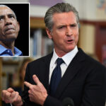 barack-obama-greenlit-gavin-newsom’s-prop.-50-gerrymander