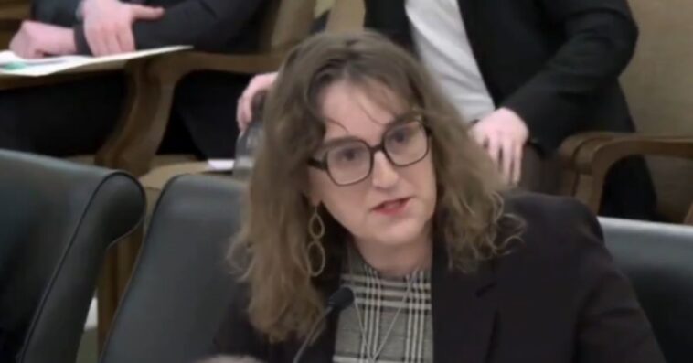 sick-and-evil:-every-single-minnesota-house-democrat-votes-to-let-children-watch-pornography,-age-verification-bill-dies-in-67-67-tie