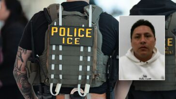 ice-arrests-latin-kings-member-after-nyc-sanctuary-release-despite-assault-charge-on-first-responder