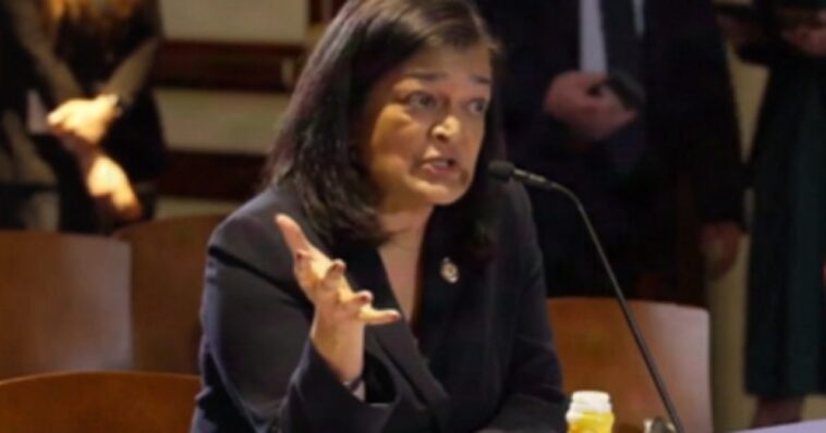 far-left-rep.-pramila-jayapal-wants-americans-to-pay-reparations-to-illegal-aliens-who-have-been-‘traumatized’-by-ice-(video)