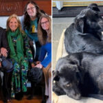 biden-adopts-two-puppies-after-his-past-dogs-terrorized-white-house-personnel