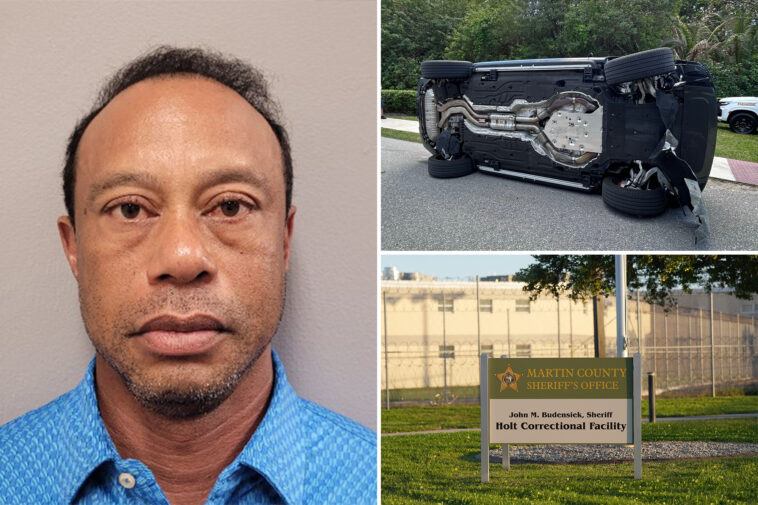 tiger-woods-appears-dazed-and-glassy-eyed-in-mugshot-after-florida-crash,-dui-arrest