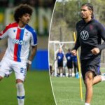 usmnt-will-be-without-two-center-backs-for-belgium-friendly