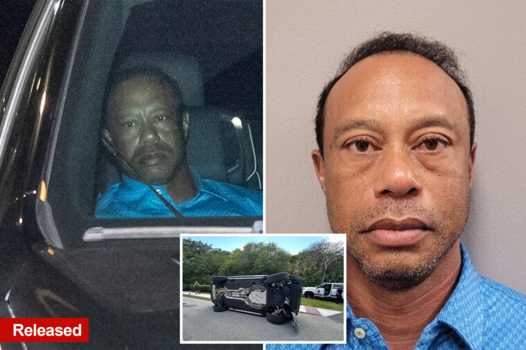 tiger-woods-released-from-florida-jail-hours-after-car-crash,-dui-bust