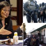 progressive-rep.-pramila-jayapal-calls-for-reparations-for-illegal-immigrants-‘traumatized’-by-ice