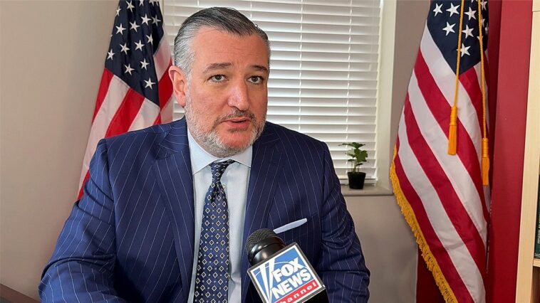 cruz-warns-‘radical-democrats’-will-‘burn-it-down’-if-they-win-back-congress