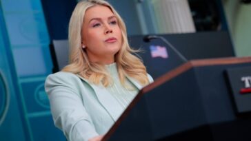 leavitt:-here’s-how-ice-deployment-to-fix-democrats’-airport-disaster-impacts-the-deportation-agenda