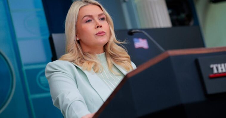 leavitt:-here’s-how-ice-deployment-to-fix-democrats’-airport-disaster-impacts-the-deportation-agenda