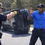 black-half-of-tiger-woods-tased-by-cops-after-asian-half-crashes-car