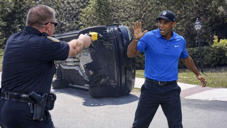 black-half-of-tiger-woods-tased-by-cops-after-asian-half-crashes-car