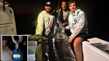 nearly-500-pound-monster-fish-hauled-in-by-us-captain-turns-into-feast-for-whole-town