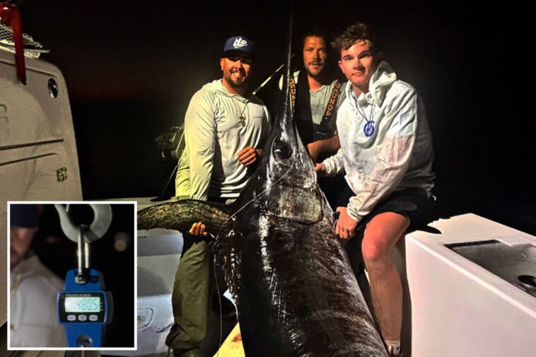 nearly-500-pound-monster-fish-hauled-in-by-us-captain-turns-into-feast-for-whole-town
