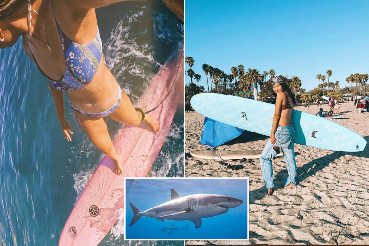 surfer-stalked-by-great-white-shark-on-socal-beach-relives-terrifying-encounter