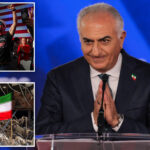 reza-pahlavi-tells-cpac-remnants-of-‘snake’-iranian-regime-cannot-be-allowed-to-rule:-‘venom-is-in-its-dna’