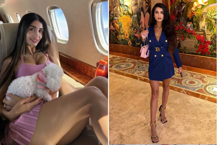 penthouse-pet-accused-of-robbing-sugar-daddies-stole-$100k-in-designer-clothes-from-victim’s-daughter