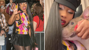 megan-thee-stallion-adopts-new-pup,-rushes-to-save-him-from-being-put-down:-‘i-said,-no-way’