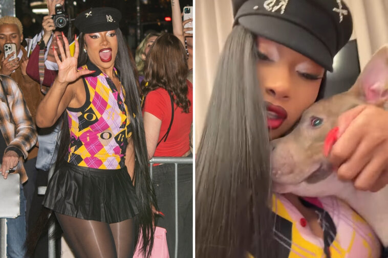 megan-thee-stallion-adopts-new-pup,-rushes-to-save-him-from-being-put-down:-‘i-said,-no-way’