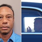 trump-family-relieved-that-trained-agents-–-not-tiger-–-drive-president’s-grandkids